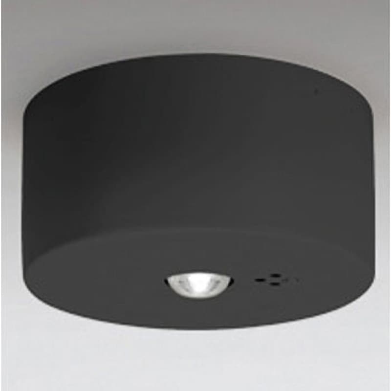 OR036319K1 非常用照明器具 ODELIC(オーデリック) 直付型取付 1W 低