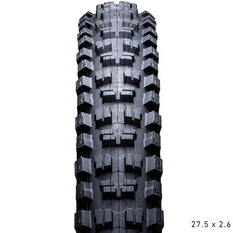 IRC TANKEN GEKKOTA 2本セット 29 × 2.3 190739 IRC タイヤ TANKEN GEKKOTA TLR IRC 700×58C(29×2.3)サイズ