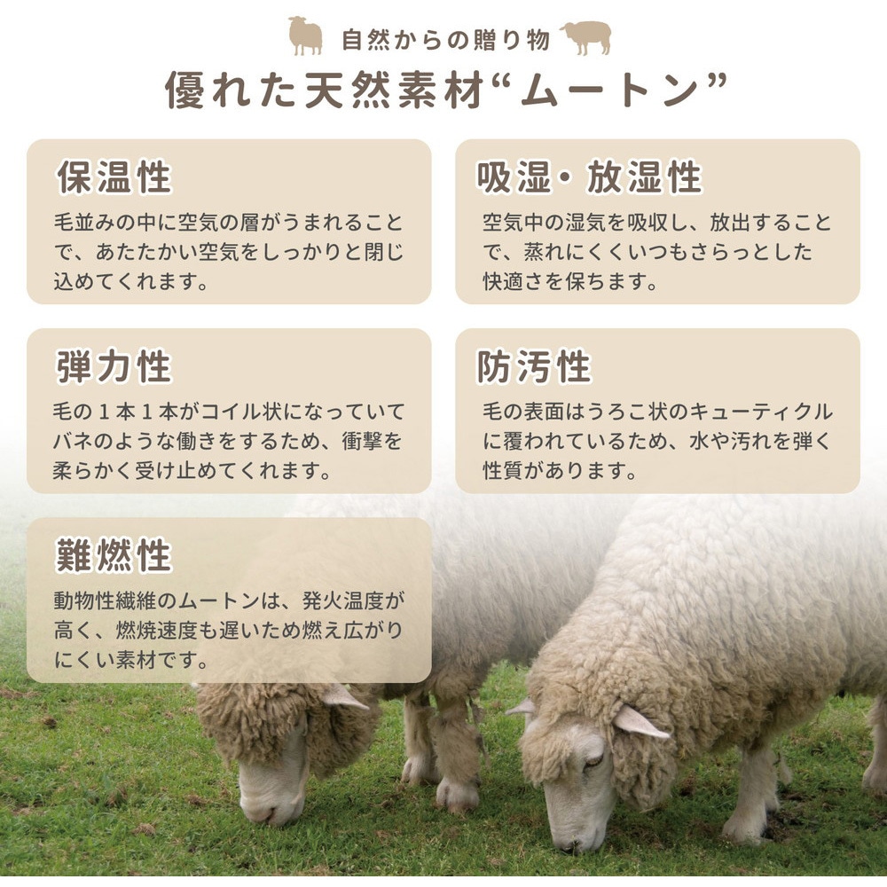 240619344 ニュージーランド天然ムートンの2匹ラグ 1枚 萩原 【通販