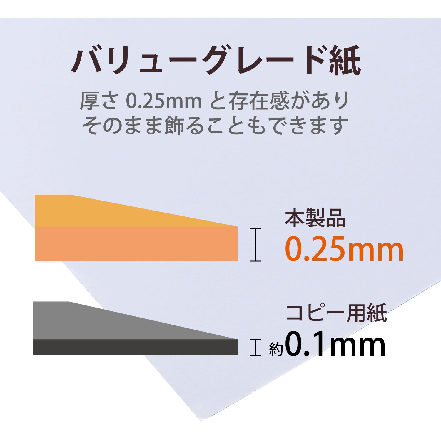 EJK-VL2L100 プリンター用紙 写真用紙 2L判 光沢 厚手