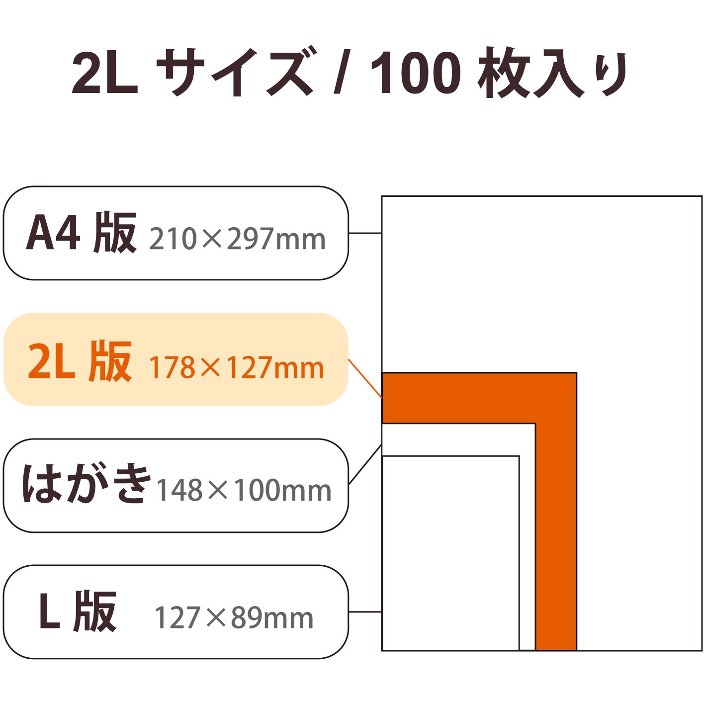 EJK-VL2L100 プリンター用紙 写真用紙 2L判 光沢 厚手 インクジェット 