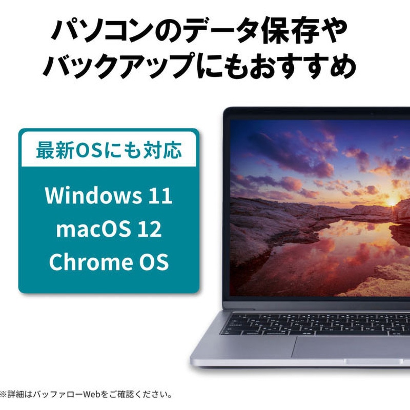 HD-NRCD4U3-BA 外付けHDD USB3.2 Gen1対応 PC用&TV録画用 CMRHDD採用