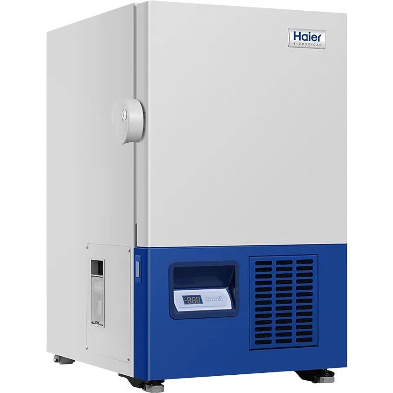 DW-86L51J_50Hz 小型超低温フリーザー 51L 1台 bitstrong 【通販