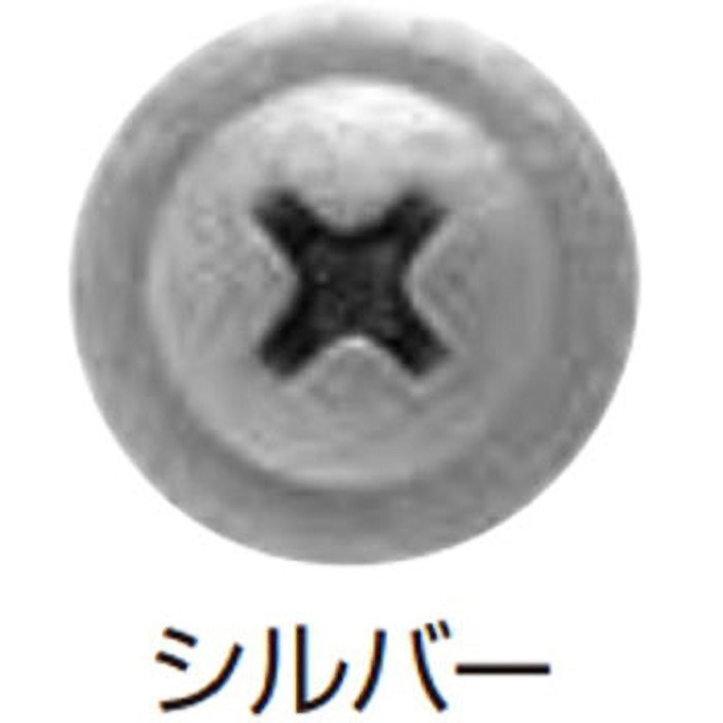 ヤマヒロ ワンダーカラービス モドトラス ラスパートカラー サンプレーンパッキン付 4.5×25 (ブラック) (500本×10箱入) WC25-BK ヤマヒロ ワンダーカラービス モドトラス ラスパートカラー サン