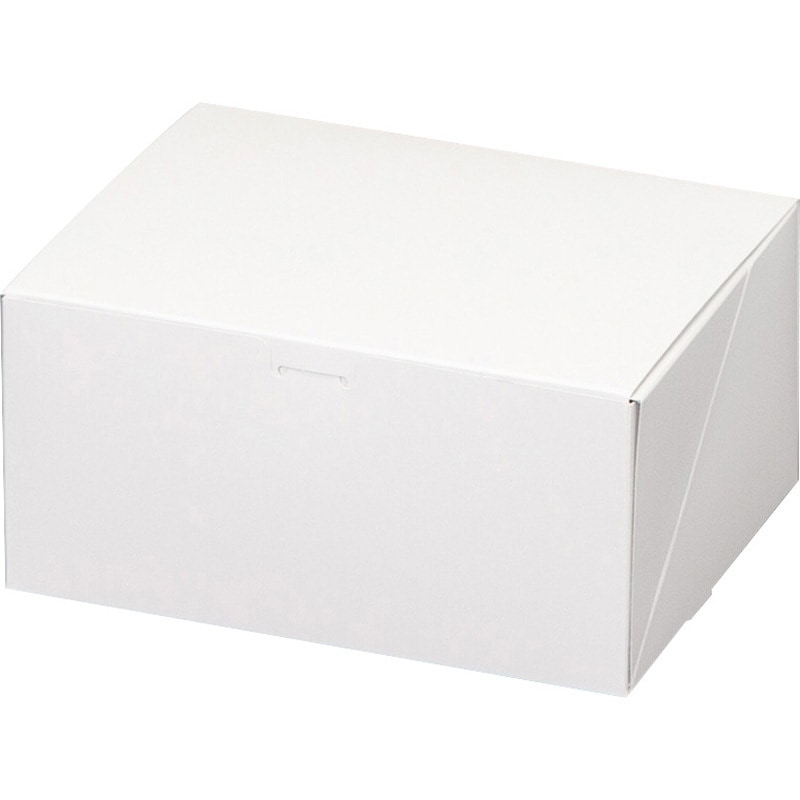 20-197 サービスサイドオープン10 ヤマニパッケージ ホワイト色 形状1枚組立式