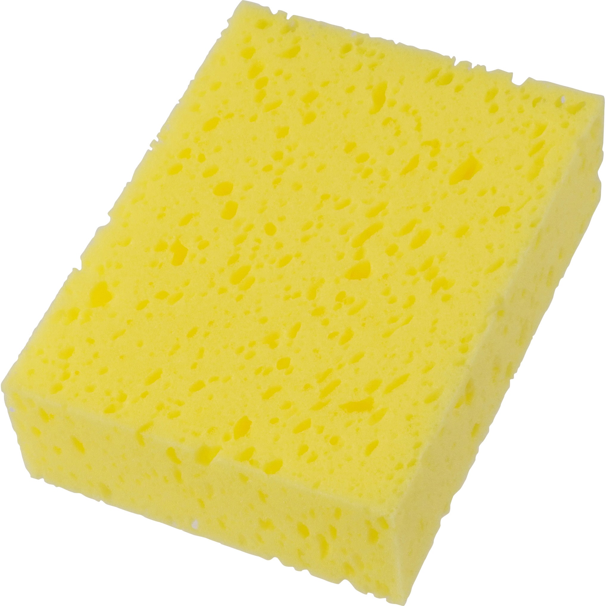 スポンジ型　15cm 20個　White Thumb スポンジ型15cm 20個White Thumb