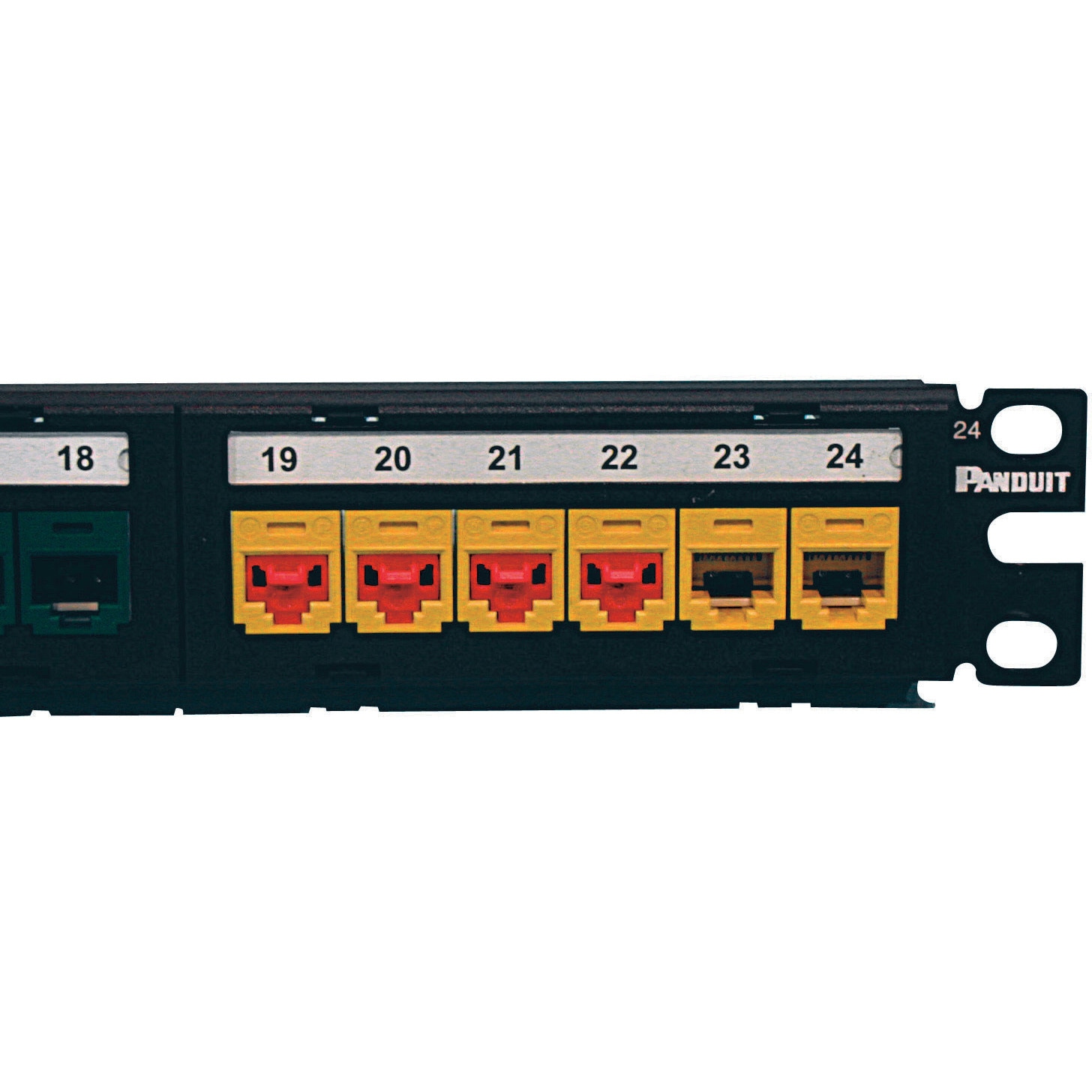 PSL-DCJB-C モジュラージャックガード 1セット(100個) パンドウイット(PANDUIT) 【通販モノタロウ】