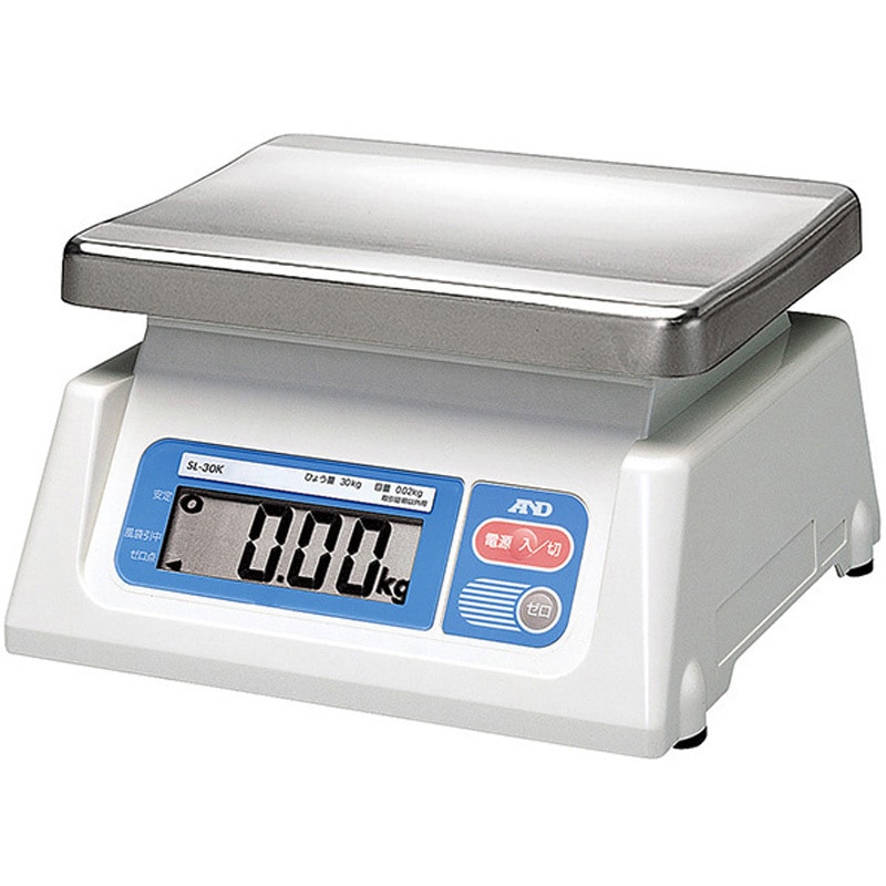 スイス Schneider工房 ハンドペイント ヴィンテージ大皿 レアサイズ