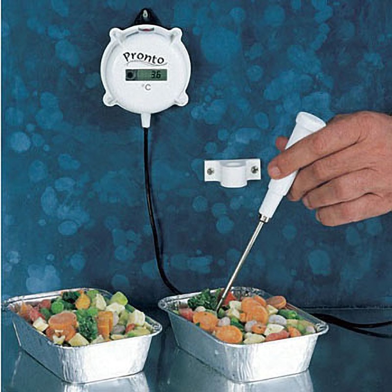 HI 146-00 壁掛け式温度計 HANNA(ハンナインスツルメンツ・ジャパン) デジタル 測定範囲-50.0～150.0℃