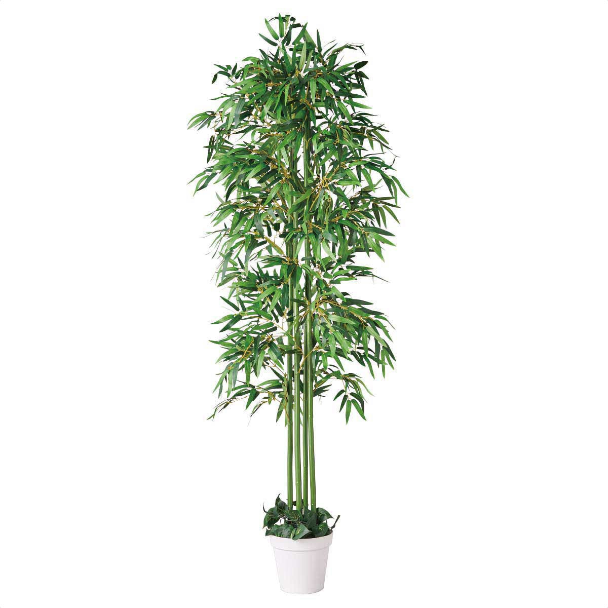 8724-904 夏の装飾品 七夕笹バンブー高さ210cm (人工観葉植物) ストア・エキスプレス 1台 8724-904