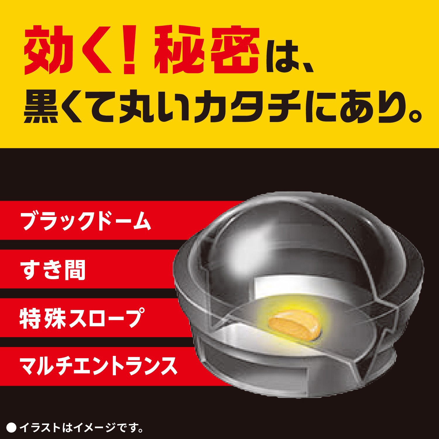 4901080206213 ブラックキャップ アース製薬 販売名アースゴキブリ