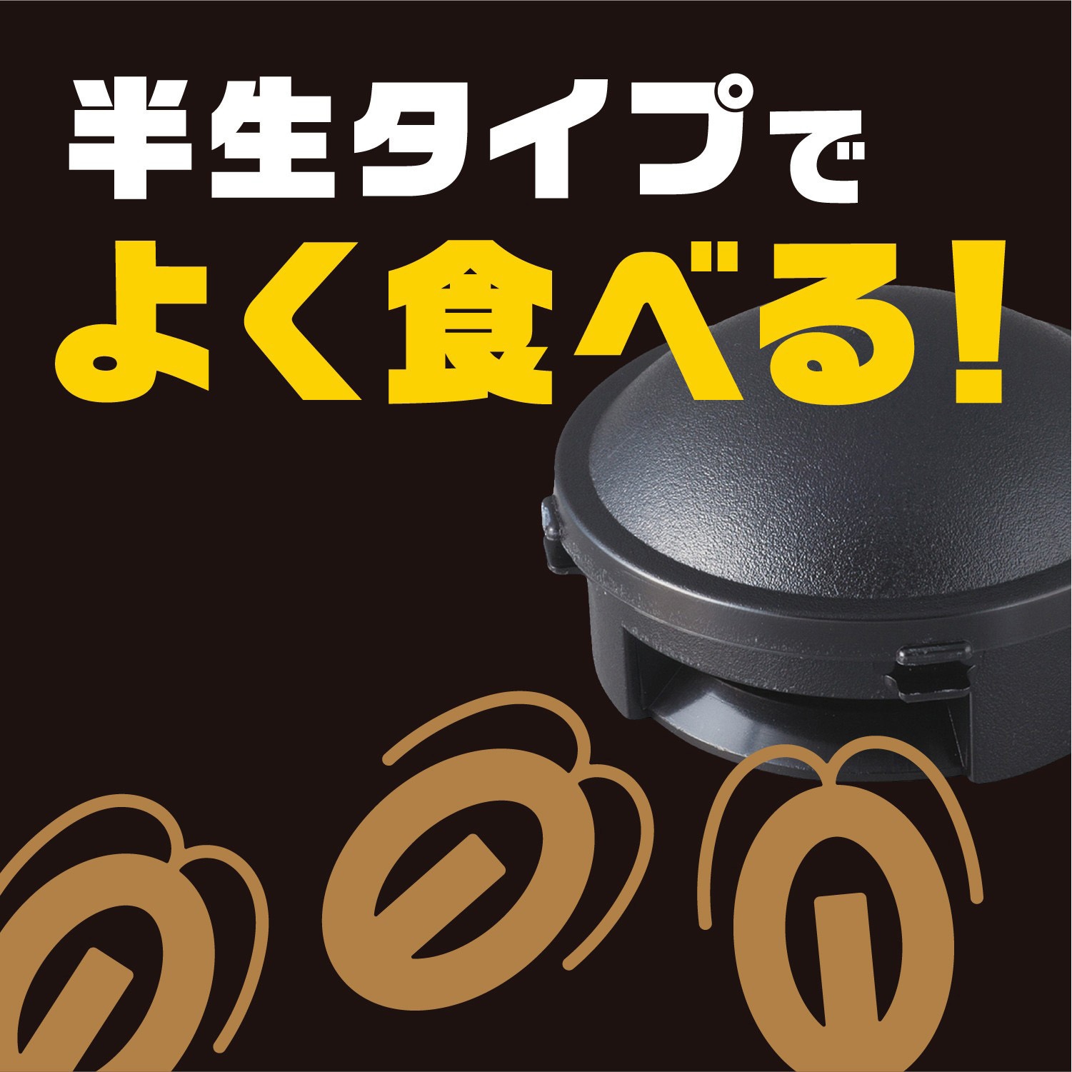 4901080218919 ブラックキャップ アース製薬 販売名アースゴキブリ