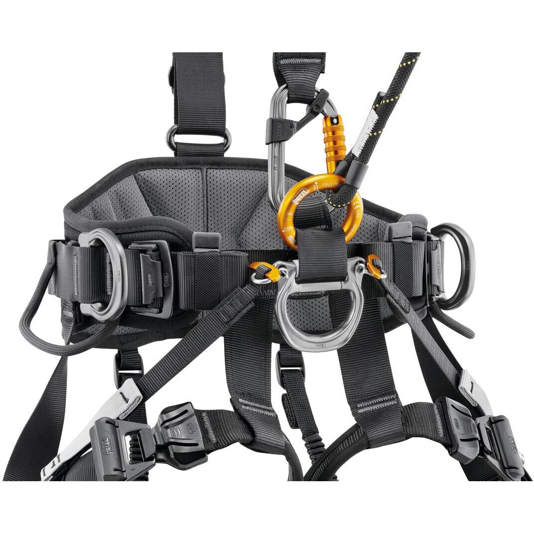 C071DB02 アバオ ファスト (国際バージョン) 1個 PETZL 【通販