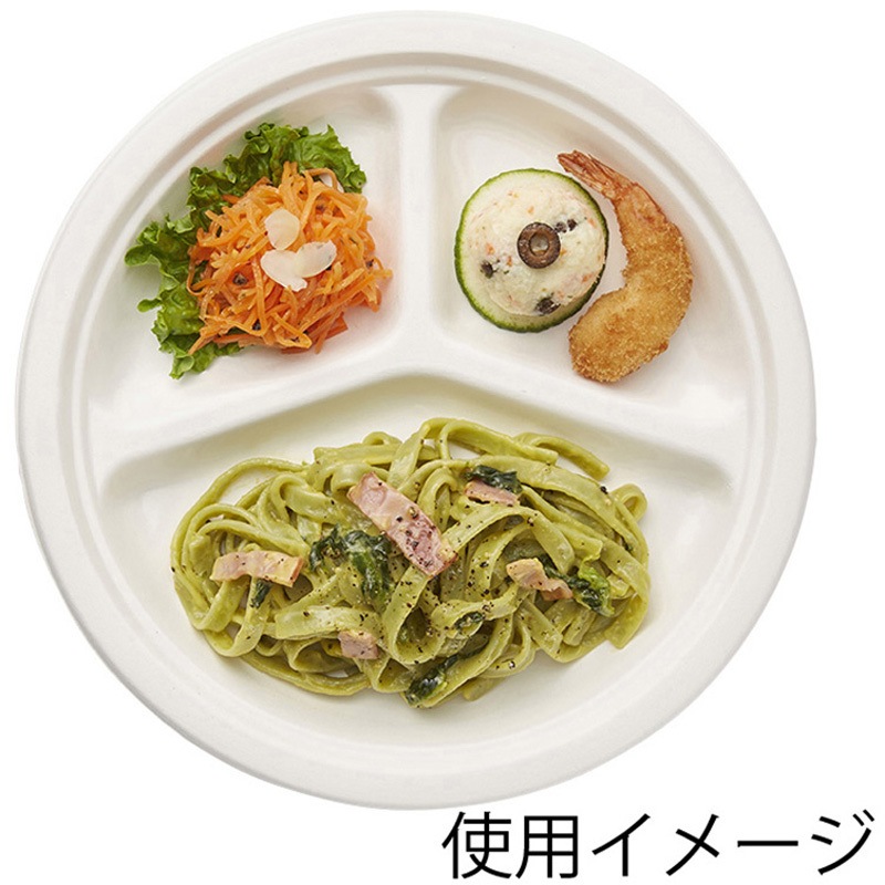 14440 徳用バガスプレート GPY-26 1袋(16袋) cotta 【通販モノタロウ】