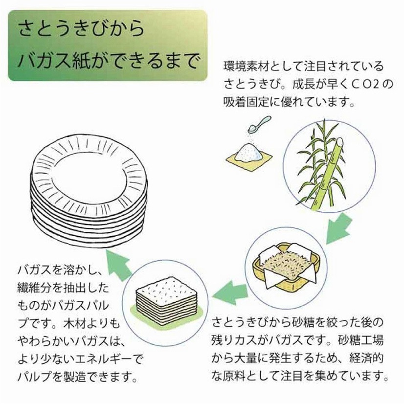 14830 業務用バガスどんぶりC150 ND115 1袋(48袋) cotta 【通販モノタロウ】