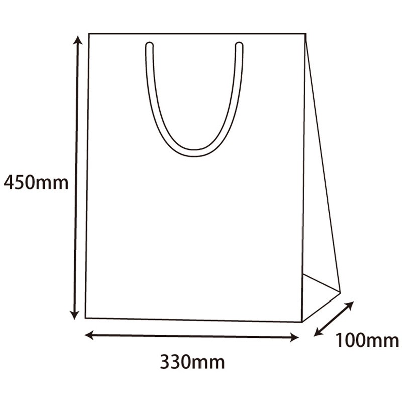 42147 ブライトバッグ G2 銀 cotta 幅330mm奥行100mm高さ450mm 1枚(150枚)