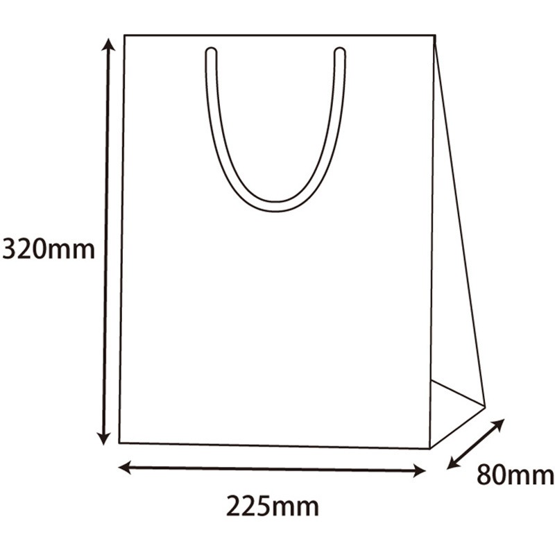 42156 ブライトバッグ SWT 黒 cotta 幅225mm奥行80mm高さ320mm 1枚(300枚)
