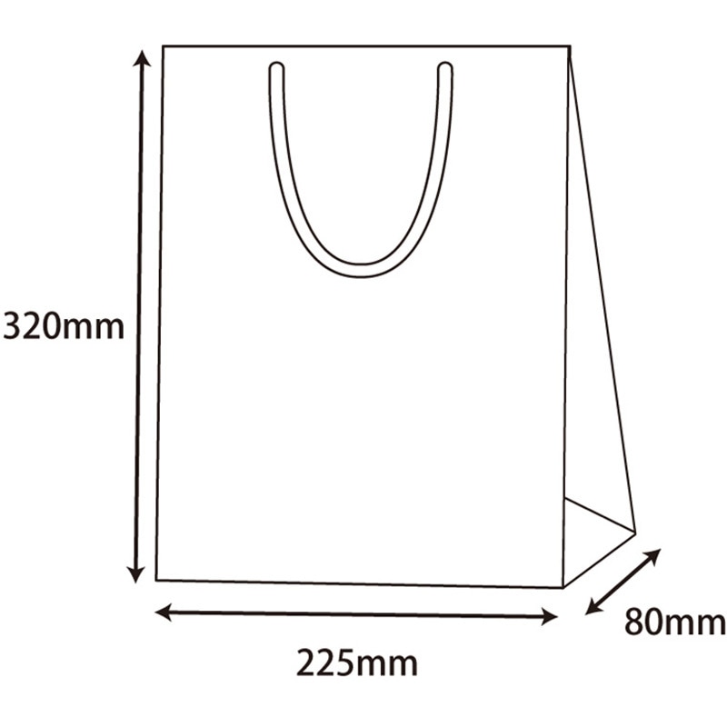 42160 ブライトバッグ SWT 紺 cotta 幅225mm奥行80mm高さ320mm 1枚(300枚) 43,537円