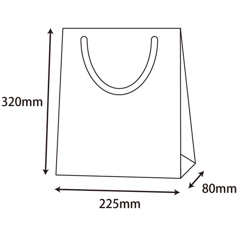 42163 ブライトバッグ SWT Dオレンジ(MT) cotta 幅225mm奥行80mm高さ320mm 1枚(300枚)