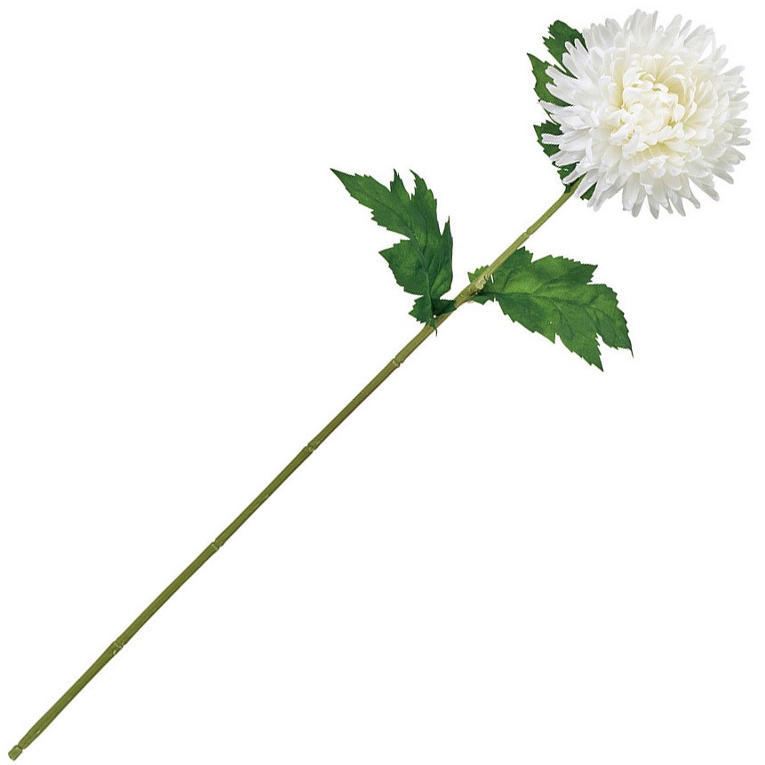 ひまかえ 41gSIpUgoUL._SS200_.jpg