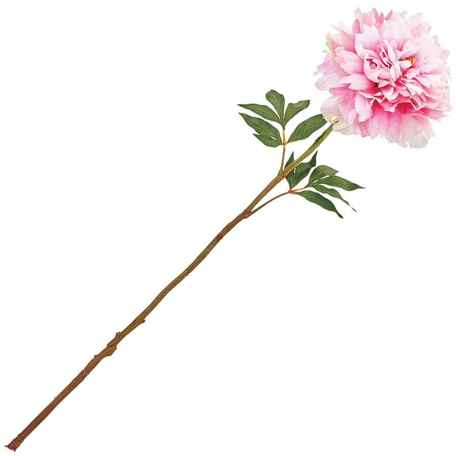 FM001929-002 フルブルームピオニー 1本 MAGIQ(東京堂) 【通販モノタロウ】