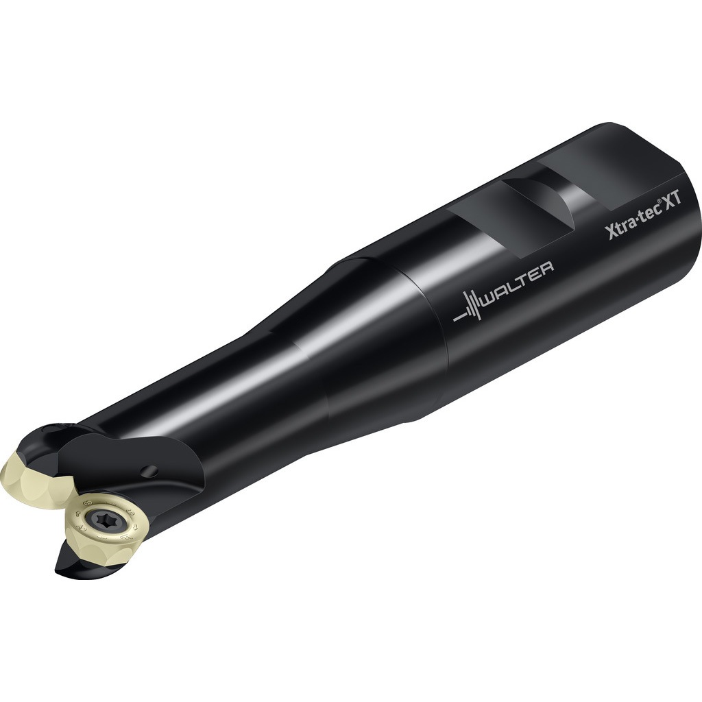 M5468-024-W25-02-06 丸駒カッター M5468 DIN1835Bシャンク メトリック ワルター 2枚刃