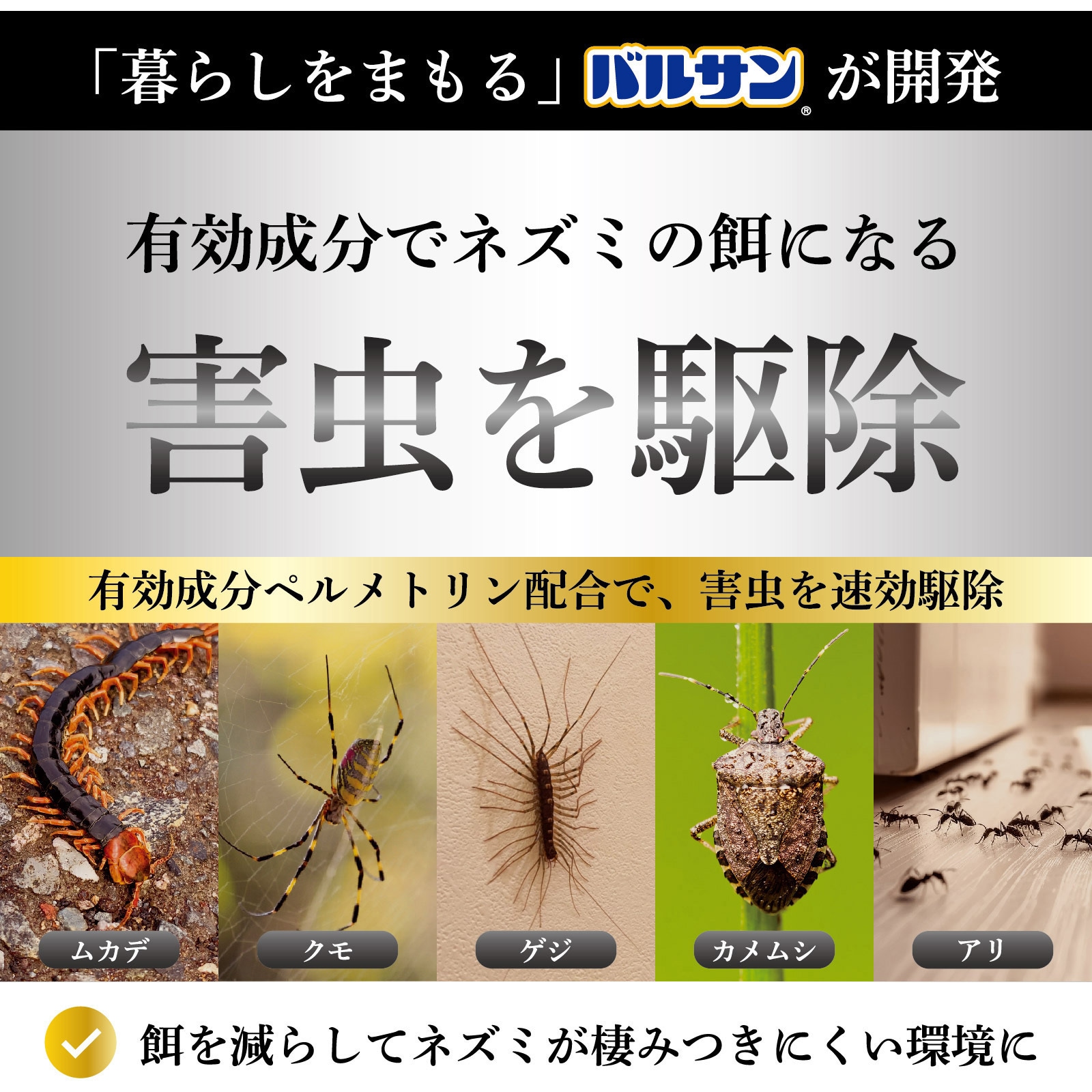 はむはむネネ様確認用 はむはむネネ様確認用 はむはむネネ様確認用 Amazon.co.jp: Footmark