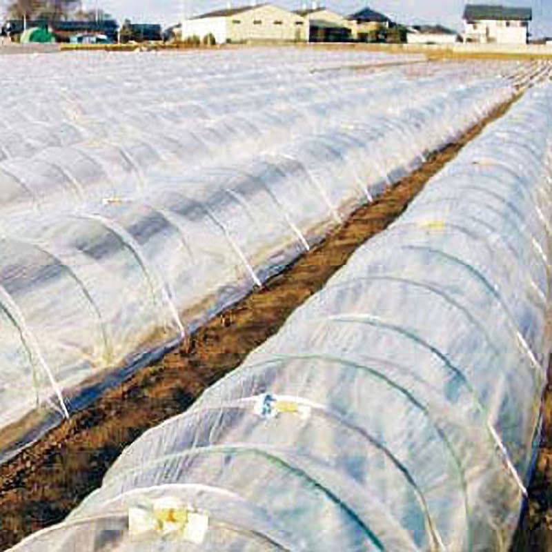 ｼﾝｾｲ PO 雨よけﾌｨﾙﾑ 0.1mm X 230cm X 10m 農業資材 家庭菜園 防霜 保湿