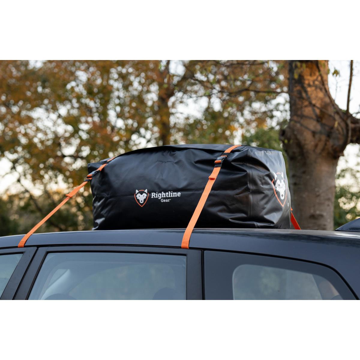 100J87-C カートップダッフル ライトラインギア 寸法812×381×381(H)mm 1個 100J87-C