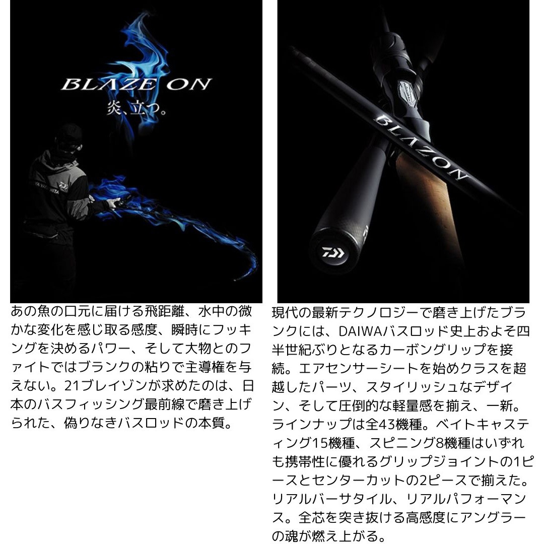 ブレイゾン DAIWA(ダイワ)[船舶用品・漁業資材] 継数2本 全長1.98m仕舞