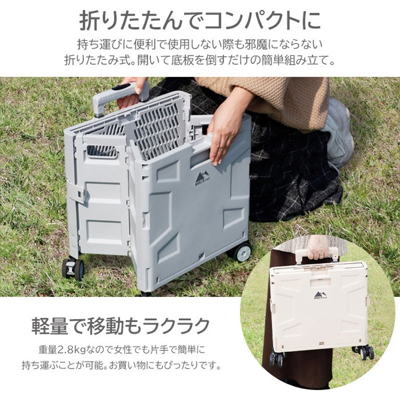 Snap on  折りたたみキャリーカート Snap-on 青 買い物カゴ 新品、未使用、未開封 Snap-on 折りたたみ