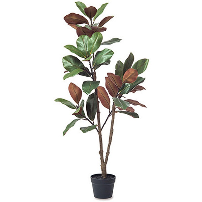 81131 フィカス 1個 ポッシュリビング 【通販モノタロウ】