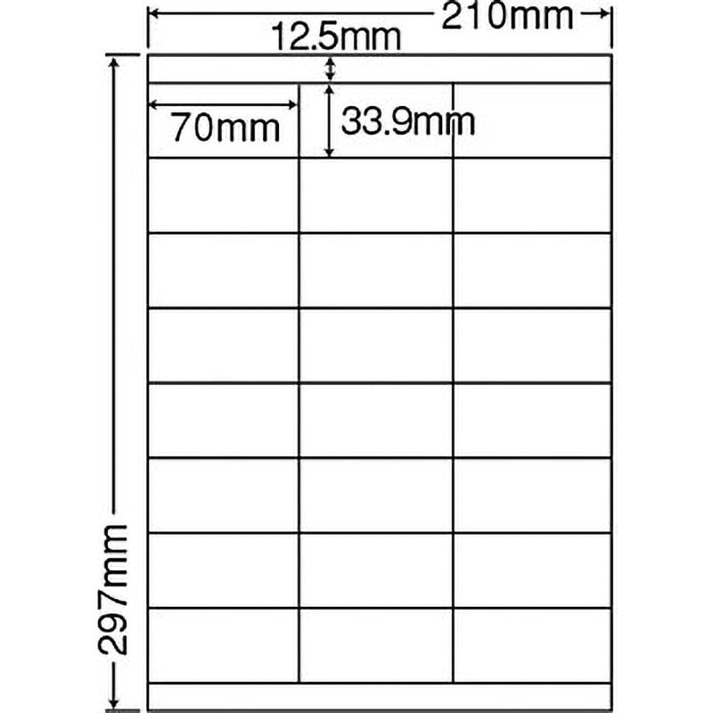 （まとめ買い）LDZ6GBF ナナワード 2ケース 1000シート マルチタイプ 再剥離 表示・商品ラベル 東洋印刷 ラベルシール LDW6GB 汎用タイプ A4 500シート代引不可