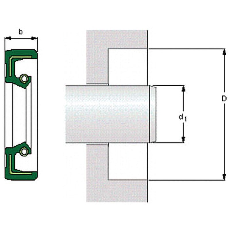 Radial Shaft Seal - Technetics Group