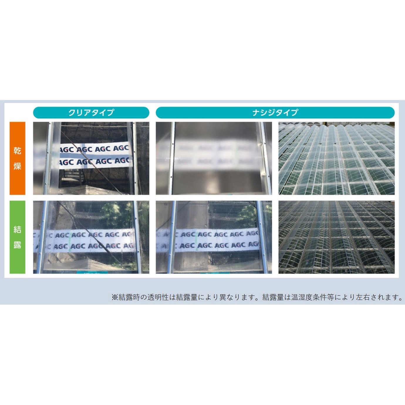 E13SDCT エフクリーン 自然光ナシジ AGCグリーンテック 1本