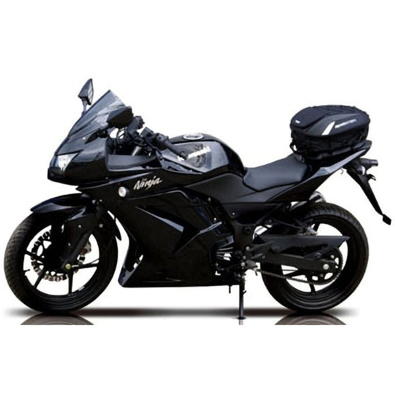 4899B1 SPIDER(スパイダー) シートバッグ BAGSTER (バグスター) 容量15