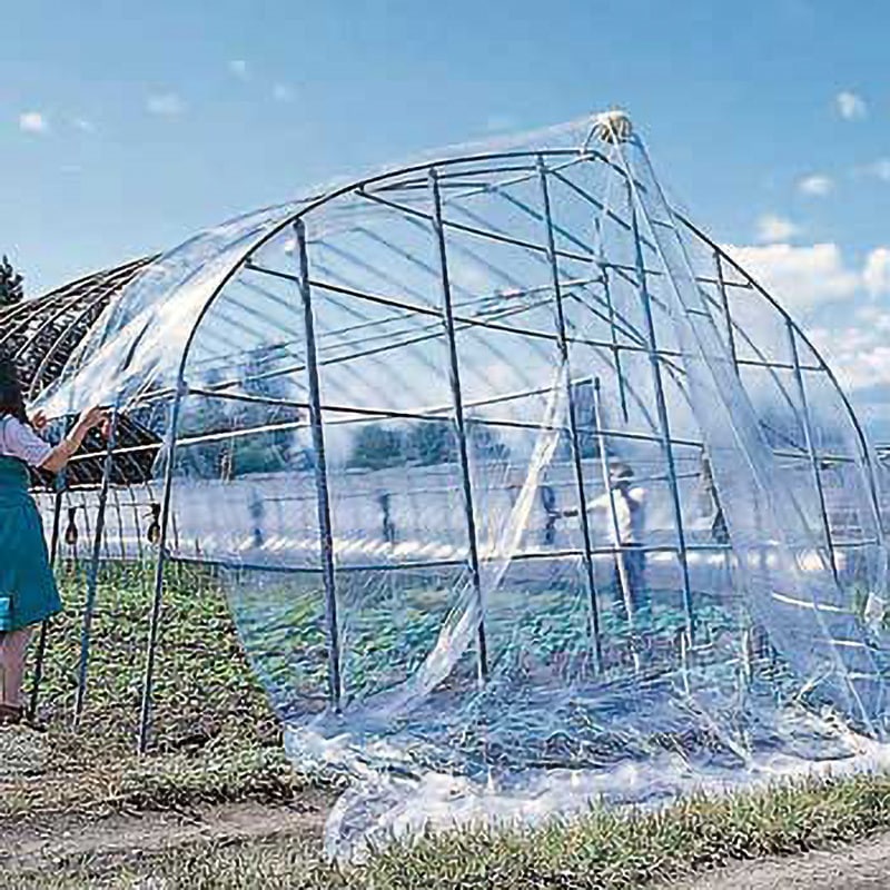 コロ助 コロ助セット (ソリッコ付) コロ助セット (ソリッコ付) 1台 HARAX