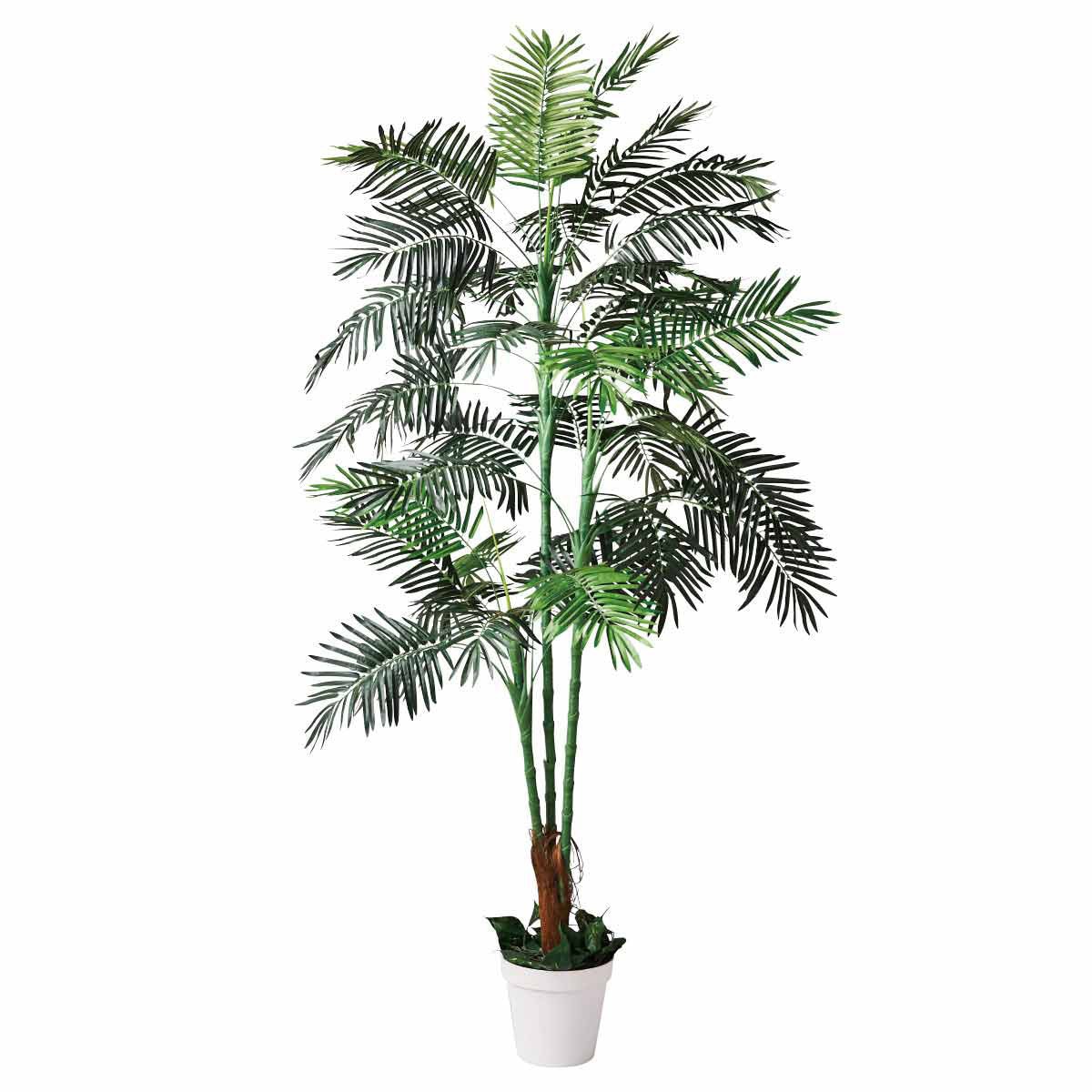 8724-900 年間装飾品 フェイクグリーン 観葉植物 人工樹木アレカヤシ ストア・エキスプレス 幅90cm奥行90cm高さ210cm 1台 8724-900