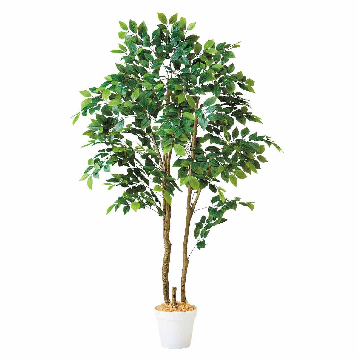 8725-9702 年間装飾品 フェイクグリーン 観葉植物 人工樹木マウンテンアッシュ ストア・エキスプレス 幅90cm奥行90cm高さ180cm 1台 8725-9702