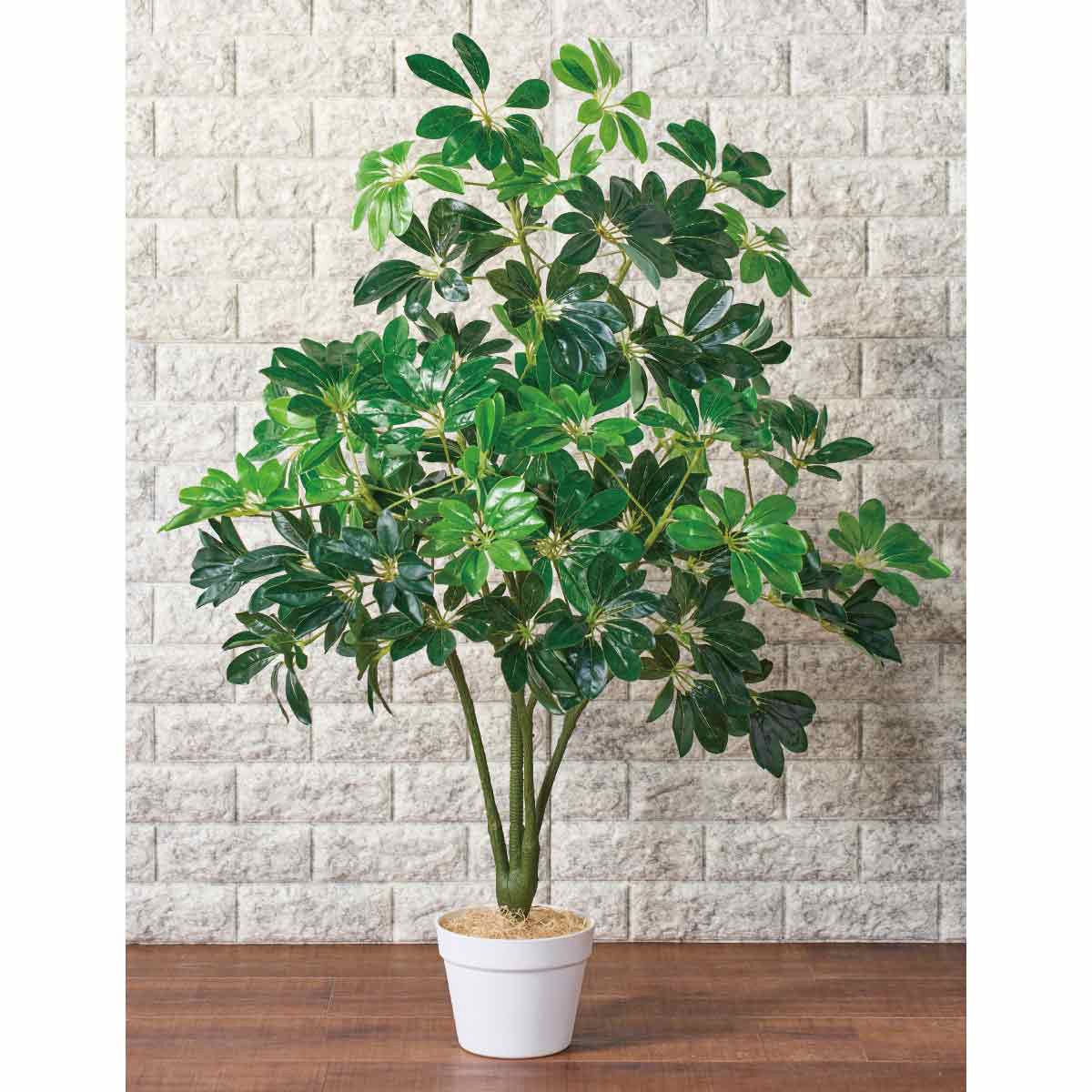 8725-9616 年間装飾品 フェイクグリーン 観葉植物 人工樹木シェフレラ ストア・エキスプレス 幅60cm奥行60cm高さ100cm 1台 8725-9616