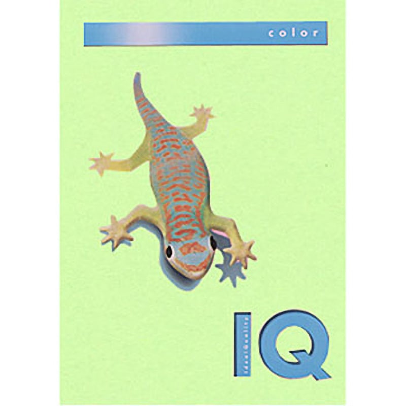 バイオトップカラー ミディアムグリーン A4/80グラム 500T 伊東