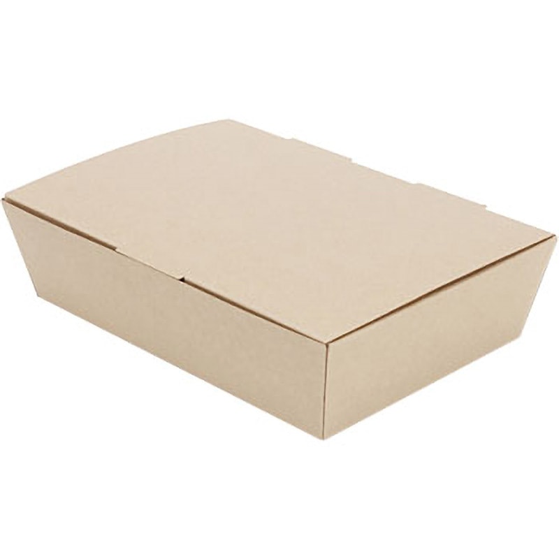 （まとめ）HEIKO ネオクラフト スナックBOX M #4248001 1パック（20枚） 〔×5セット〕 HEIKO ネオクラフト スナックBOX M #4248001 1パック （20枚） ×５