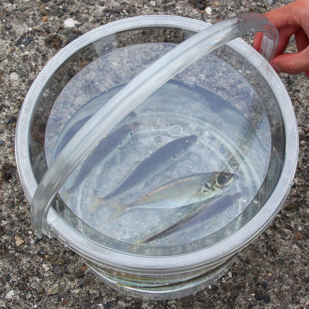 ペケ* Petcock Repair Kit - For 94-97 Kawasaki ZX-9R [60-1118] - $26.95