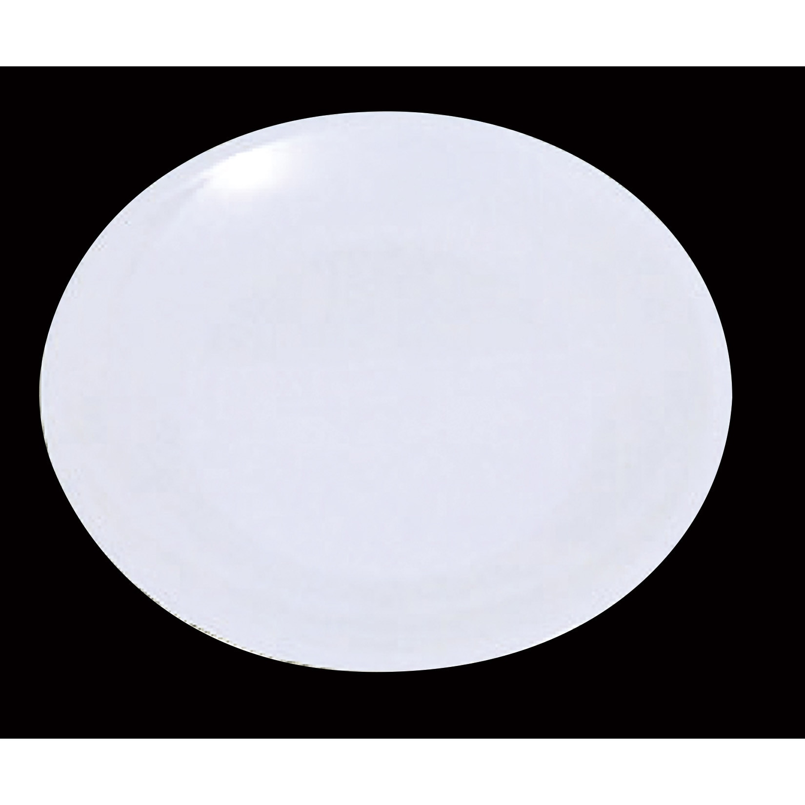 最終販売30枚セット　白いお皿　丸皿　ホワイト　平皿　食器 店舗用品