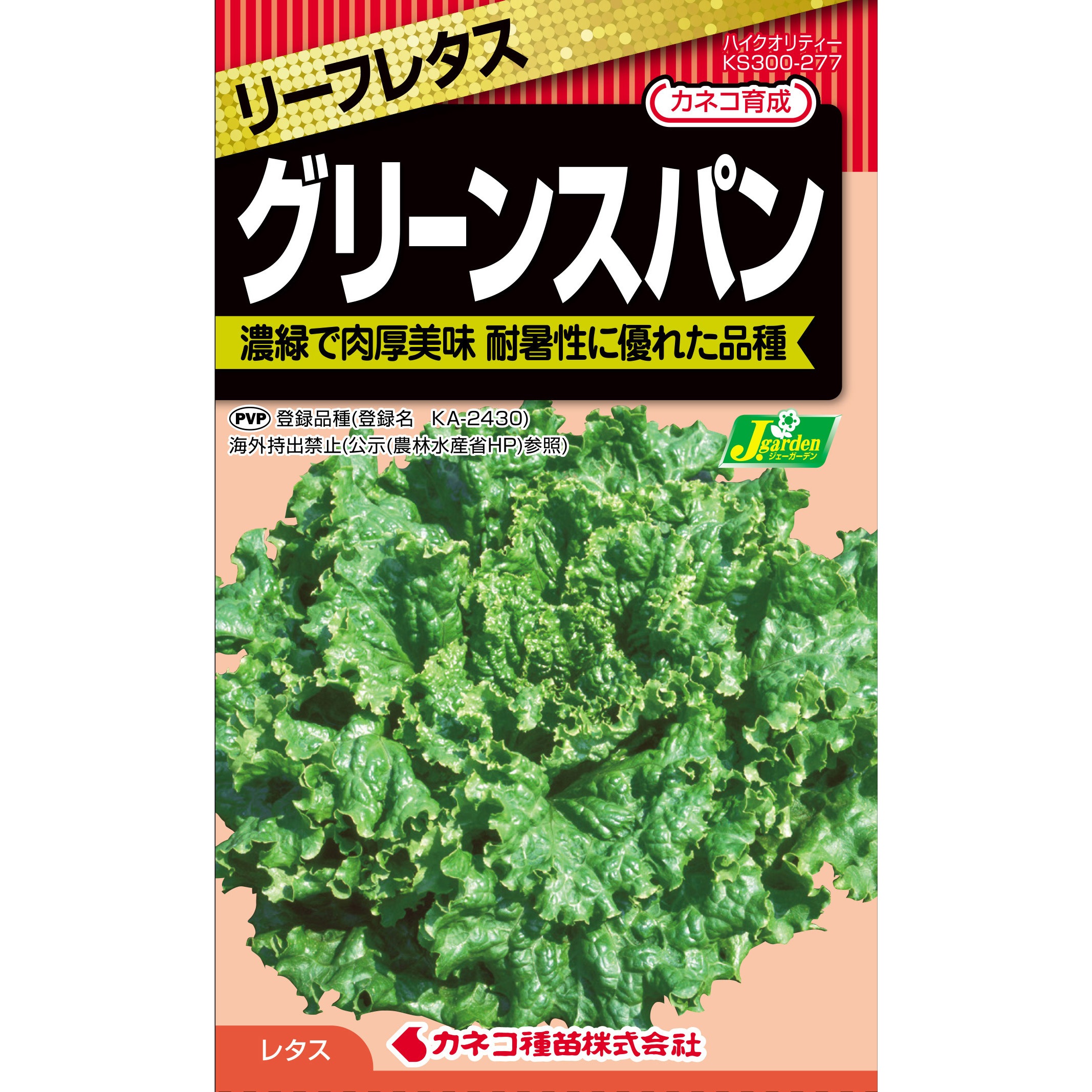 CFC277 【タネ】リーフレタス グリーンスパン カネコ種苗 1セット(1mL