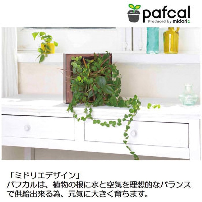 F-木目調ナチュラル- 17Z4 観葉植物 FRAME 1個 ミドリエデザイン