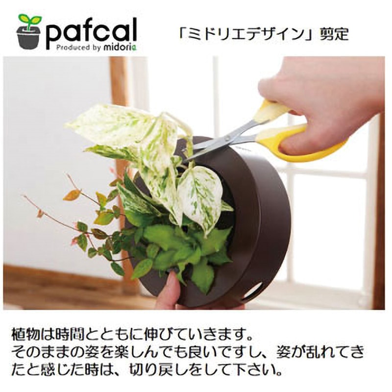 F-木目調ナチュラル- 17Z4 観葉植物 FRAME 1個 ミドリエデザイン