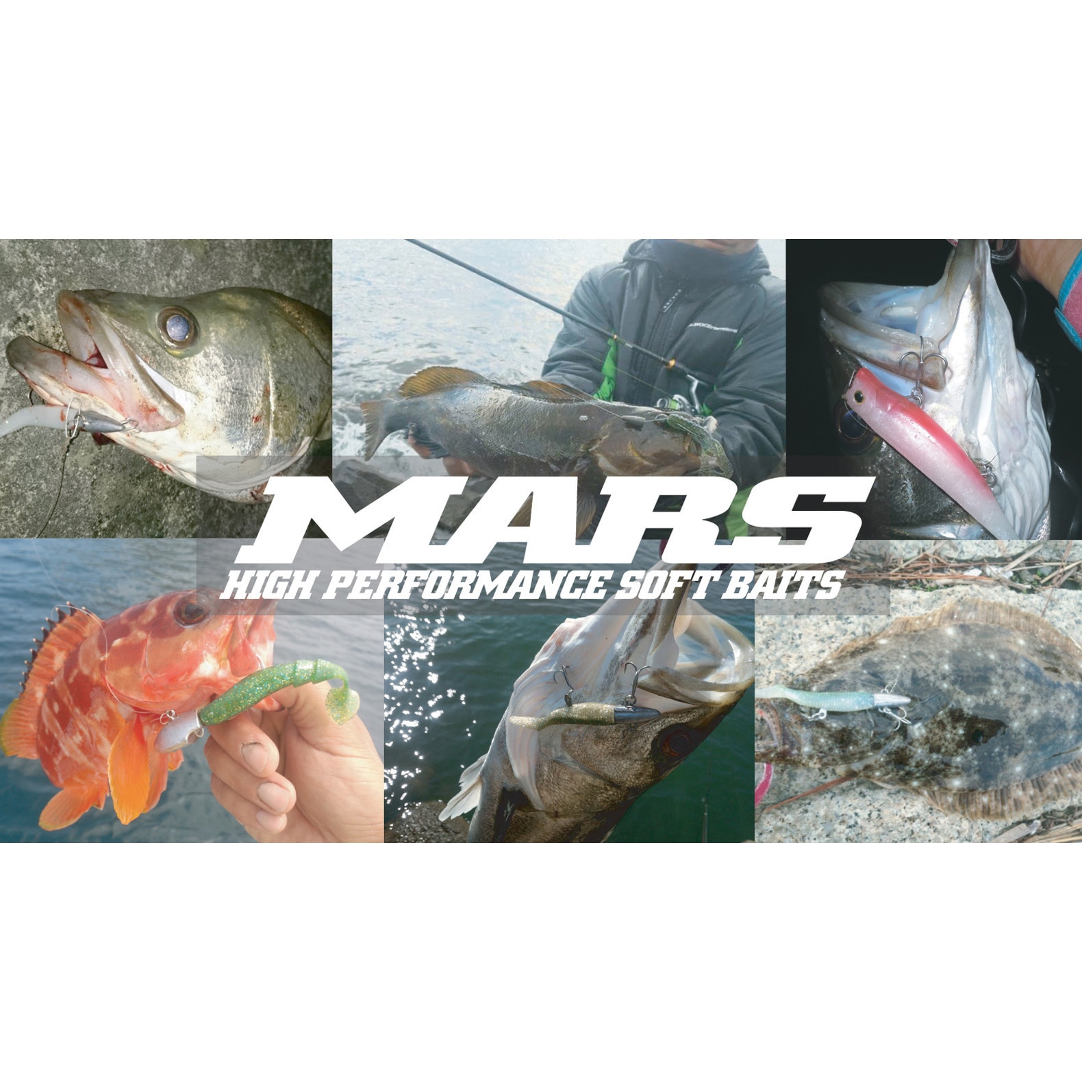 タイダルチャート ストライクヘッド コンプリートエディション