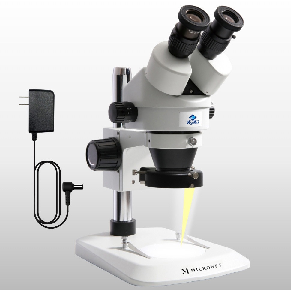 YS02Z2-4SEASONS ズーム式実体顕微鏡 ズン太2(3年保証) マイクロネット 双眼タイプ