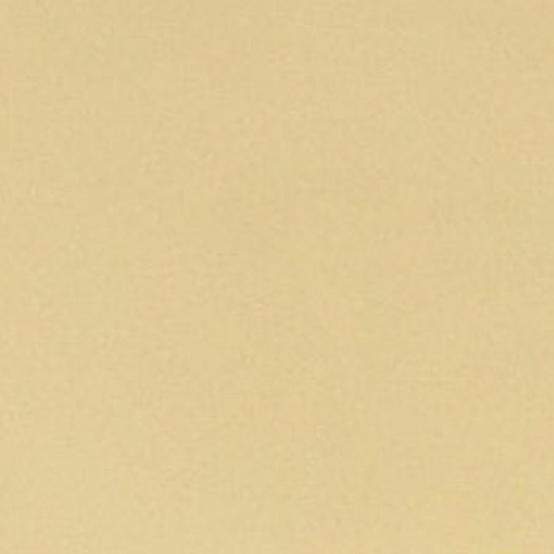 DANシリコンセラR ニッぺ(日本ペイント) 水性 つや有 色ND-250 1缶